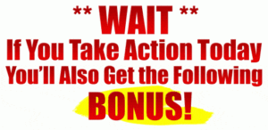 bonus-11-2-300x146 (1)